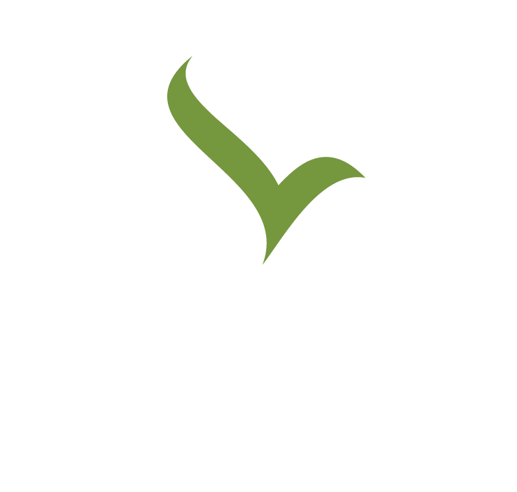 Virindu Group